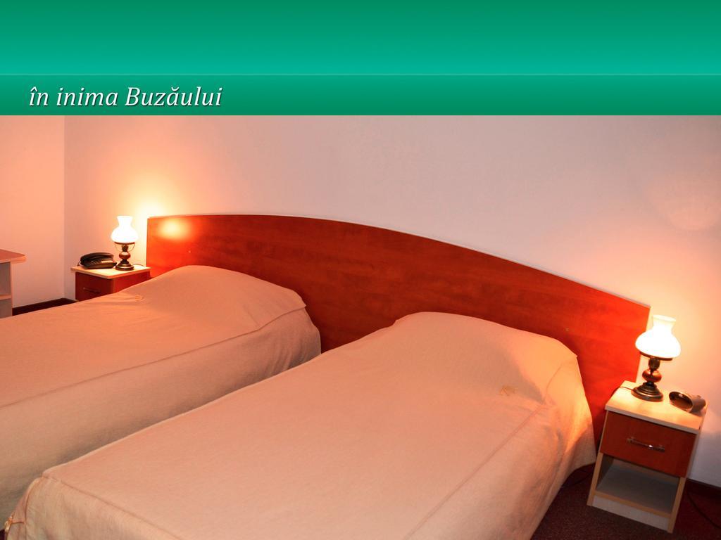 Pensiunea Casa Matei Hotel Berca Room photo